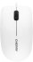 CHERRY MC1000 corded Mouse weiß/grau, USB