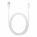Apple Kabel Lightning > USB 2m (Bulk)