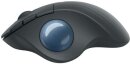 Logitech Ergo M575 Wireless Trackball schwarz, USB/Bluetooth