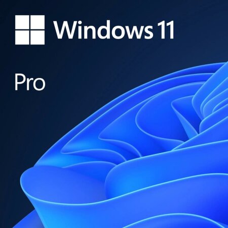 Microsoft Windows 11 Pro 64Bit, DSP/SB (deutsch)