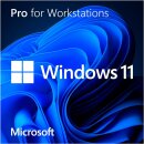 Microsoft Windows 11 Pro for Workstations 64Bit, DSP/SB...