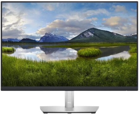 Dell P2423DE, 23.8"