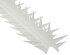 Taubenabwehr Spikes 10er Set Kunststoff, 400x42x36mm, weiß/transparent