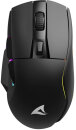 Sharkoon Skiller SGM50W schwarz, USB