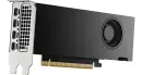PNY RTX 2000 Ada Generation, 16GB GDDR6, 4x mDP, Smallbox