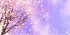 Sharkoon Skiller SGP40 D1, Mouse Mat, 1000x500mm, Cherry Blossom Tree