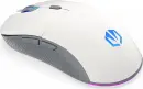 ENDORFY GEM Plus Wireless Onyx White, weiß/grau, USB