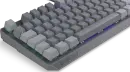 ENDORFY Thock V2 TKL, PBT, grau, LEDs RGB, hot-swap, Endorfy RED, USB, DE