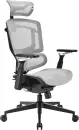 Sharkoon OfficePal C50M Bürostuhl, grau