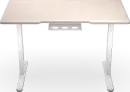 ENDORFY Atlas S Electric elektrisch höhenverstellbarer Sitz-Steh-Schreibtisch 114x74cm Light Wood/weiß
