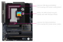 Alphacool Apex Monoblock ASUS PROART X870E-Creator WiFi (AM5)