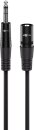 Goobay Kabel XLR auf Klinke, 10m
